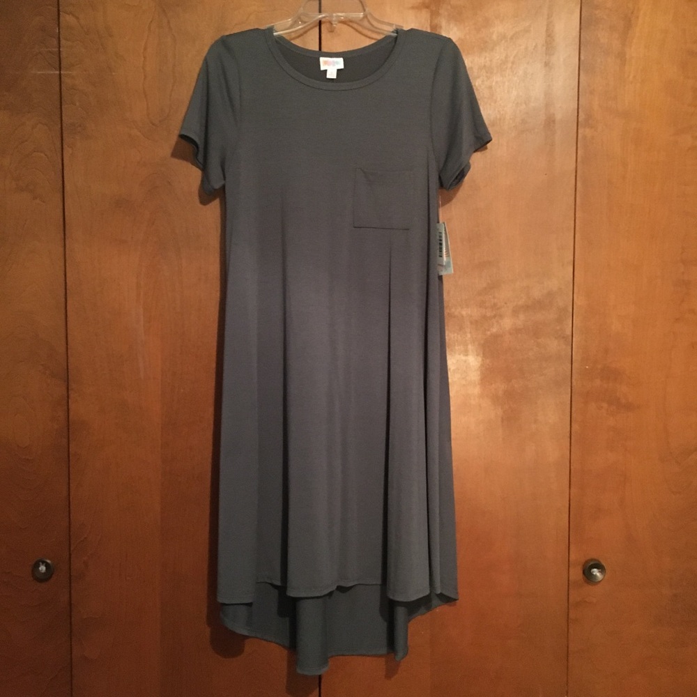 NWT LuLaRoe Carly dress size small